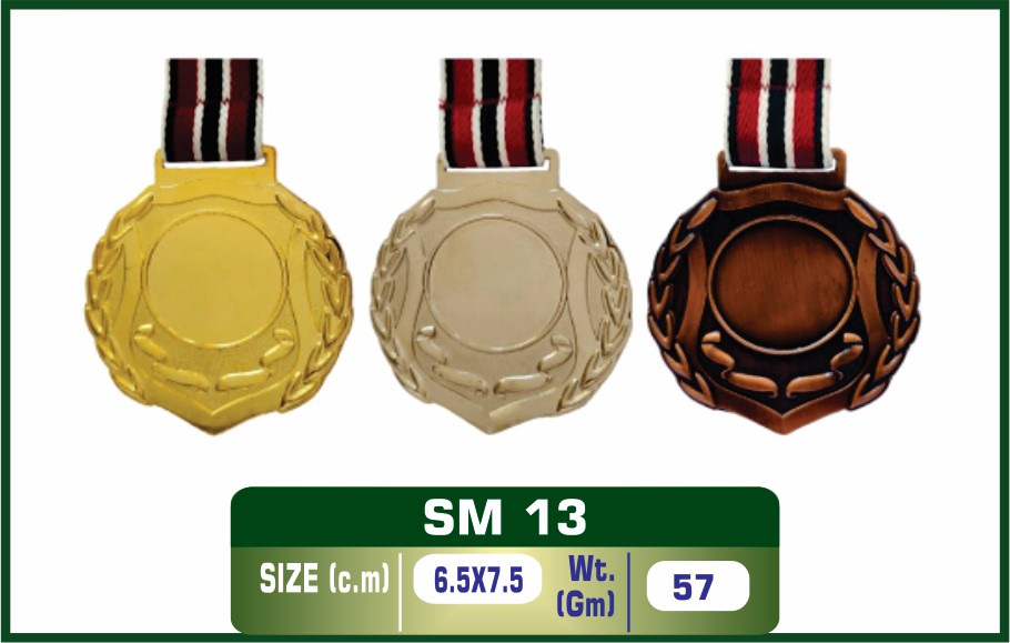 SM-13