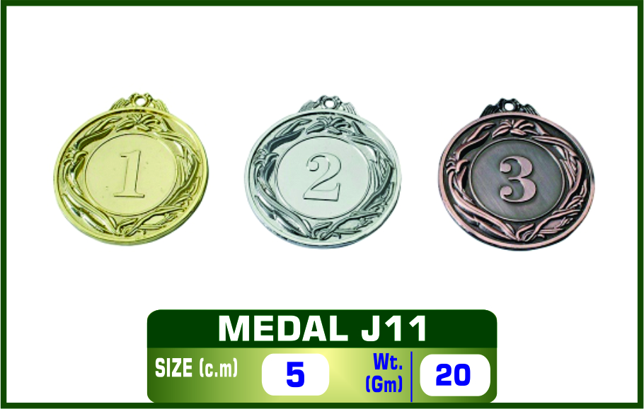 J-11